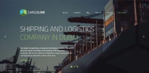 Cargo Line Shipping Service LLC's Homepage
