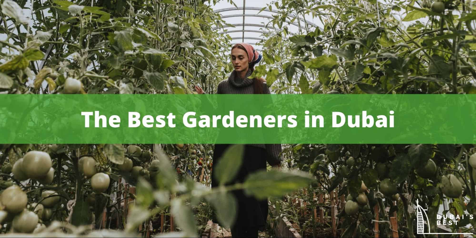 5 Best Gardeners in Dubai