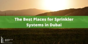 5 Best Places for Sprinkler Systems in Dubai