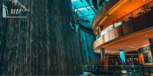 5 Best Restaurants in Dubai Mall