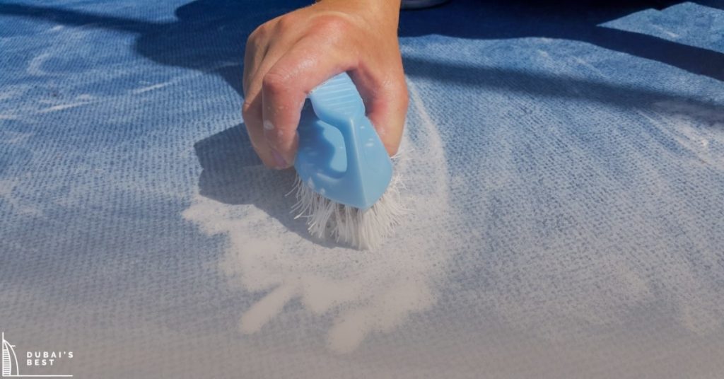 DIY Vs Professional Carpet Cleaning A Cost Comparison