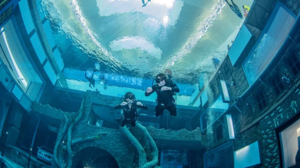 Go Shallow Diving