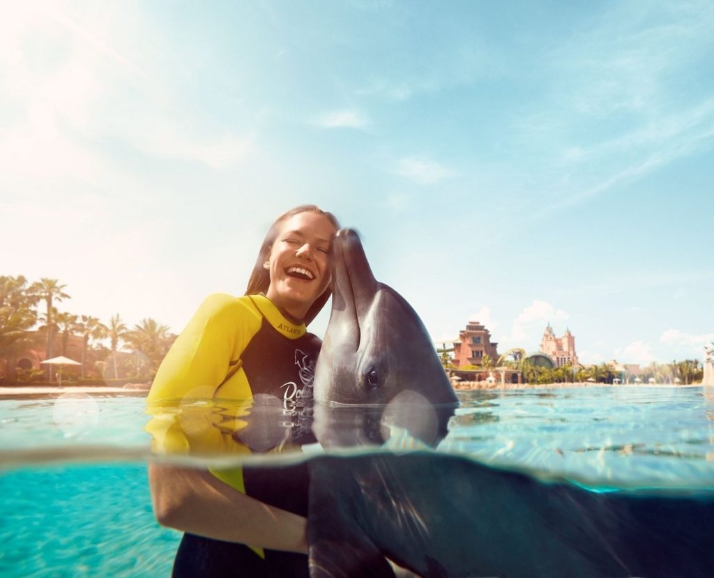 Go on a Dolphin or Sea Lion Encounter