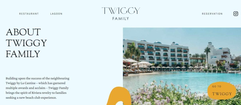Twiggy Family's Homepage