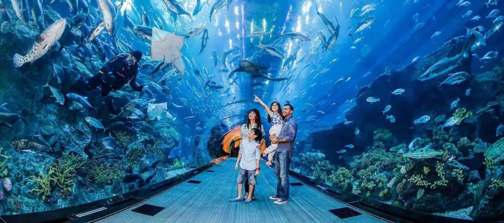 Visit the Dubai Aquarium & Underwater Zoo