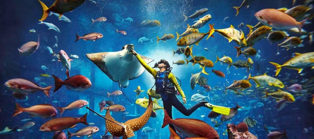 Visit the Lost Chambers Aquarium