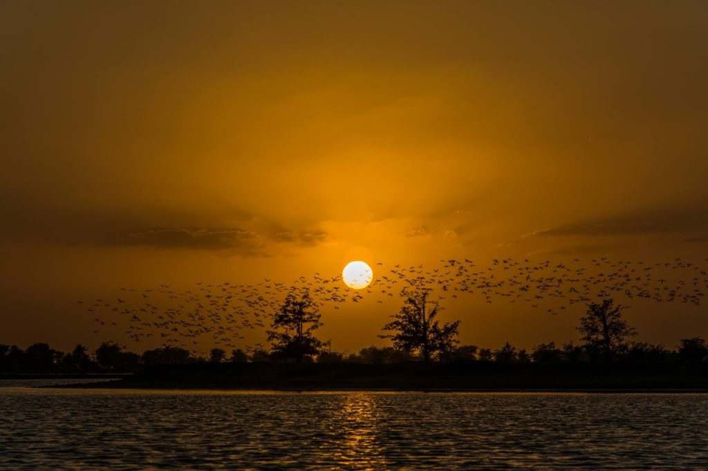 Go down a scenic route by the Al Qudra Lake!