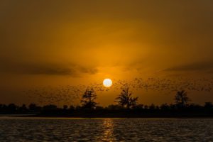 Go down a scenic route by the Al Qudra Lake!