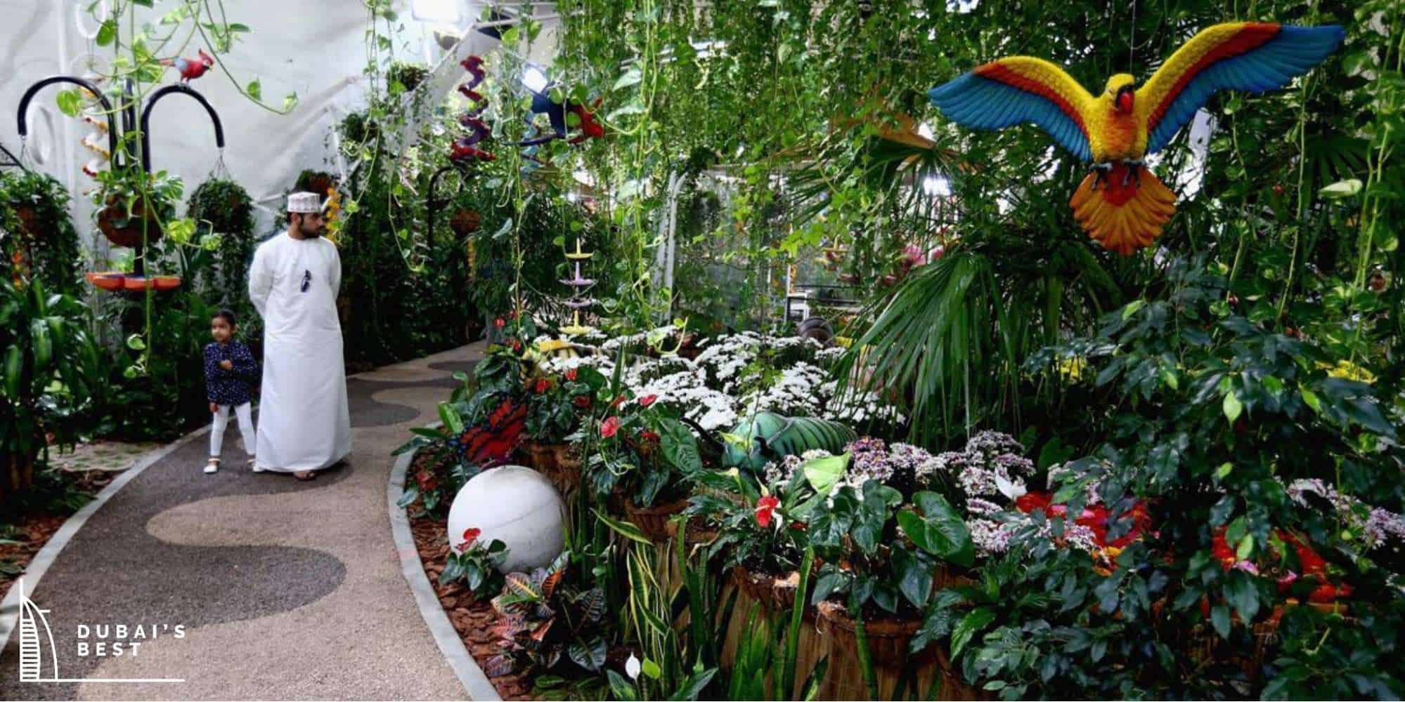 A Dubai Butterfly Garden Travel Guide