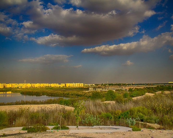 Al Warsan Lake