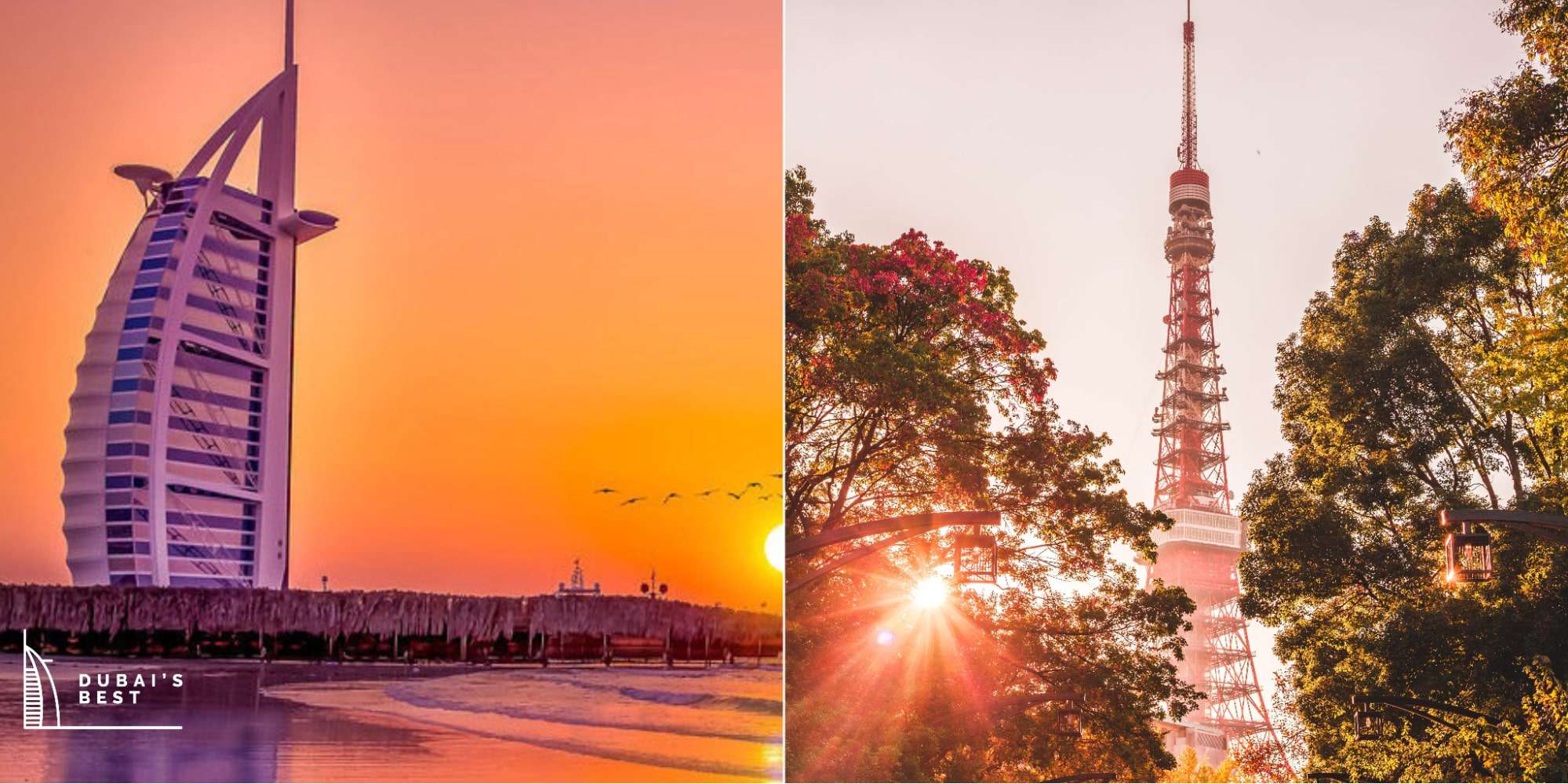 Dubai Vs. Tokyo Which City Is Better