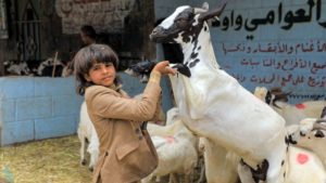 Eid al-Adha