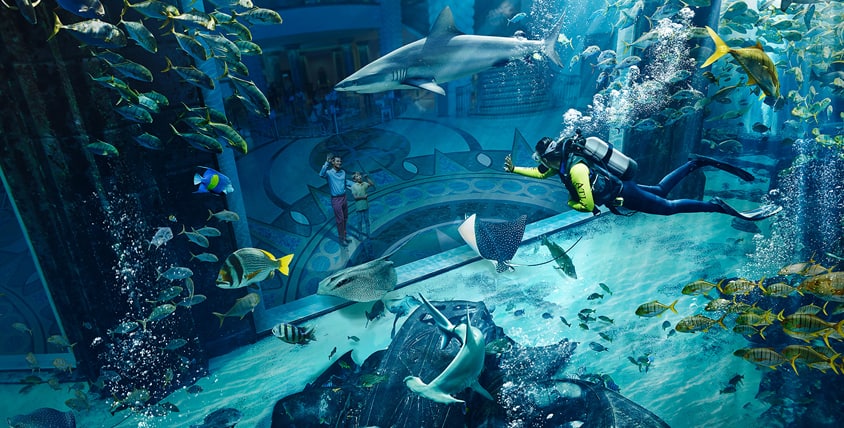 Experience Atlantis Dive Discovery