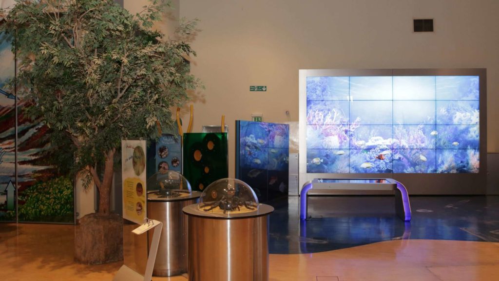 Explore the Nature Center