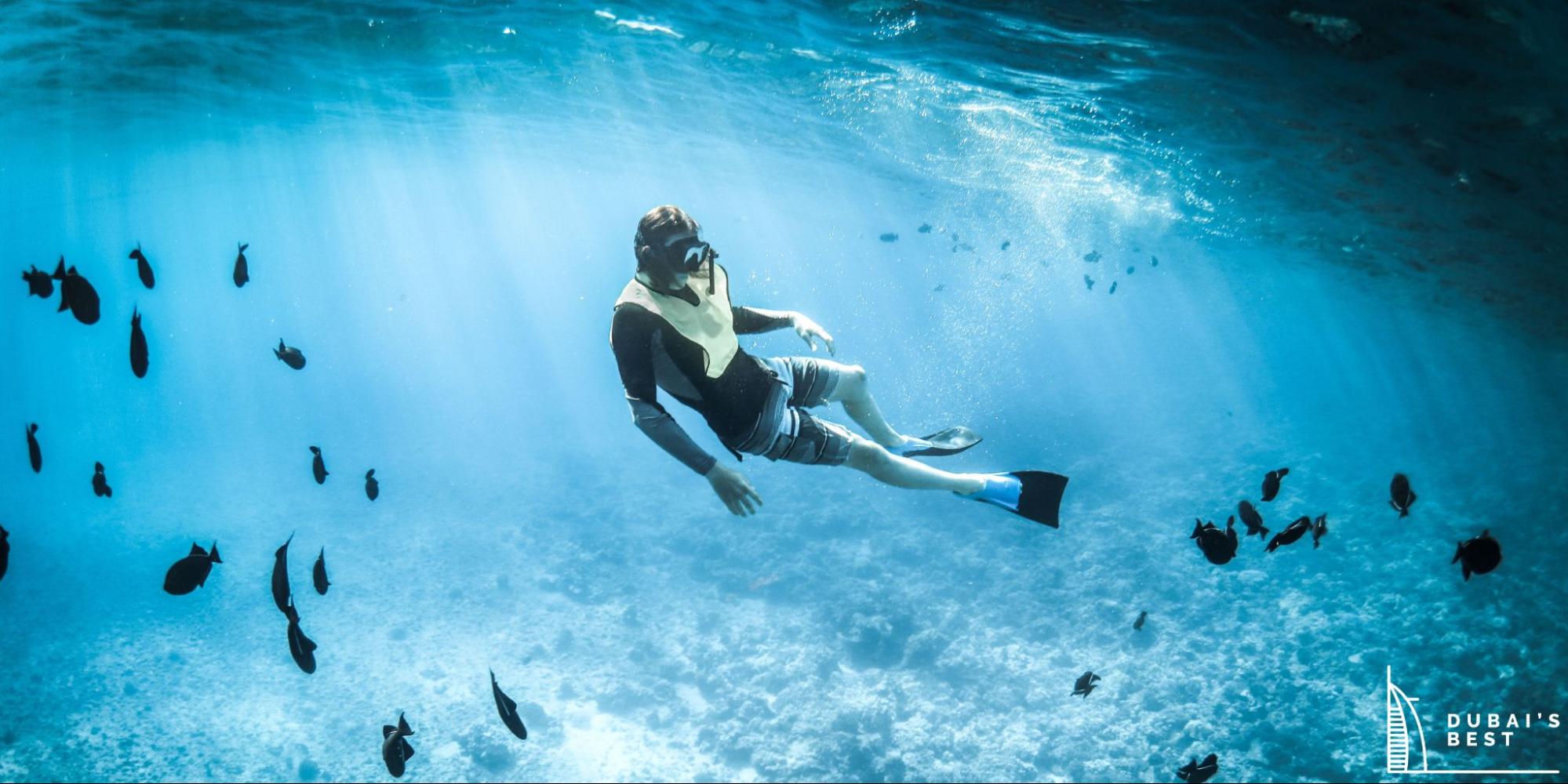 Exploring the Best Diving Spots in Dubai