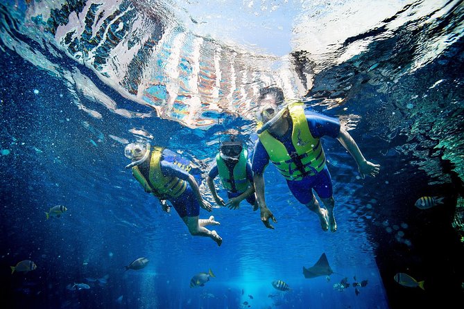 Go On a Snorkelling Adventure