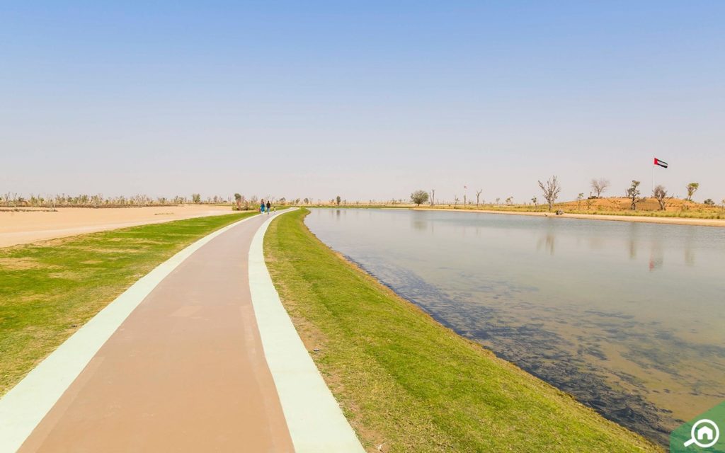Go for a Walk or Run