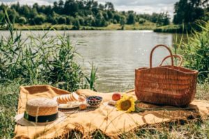 Have a Picnic