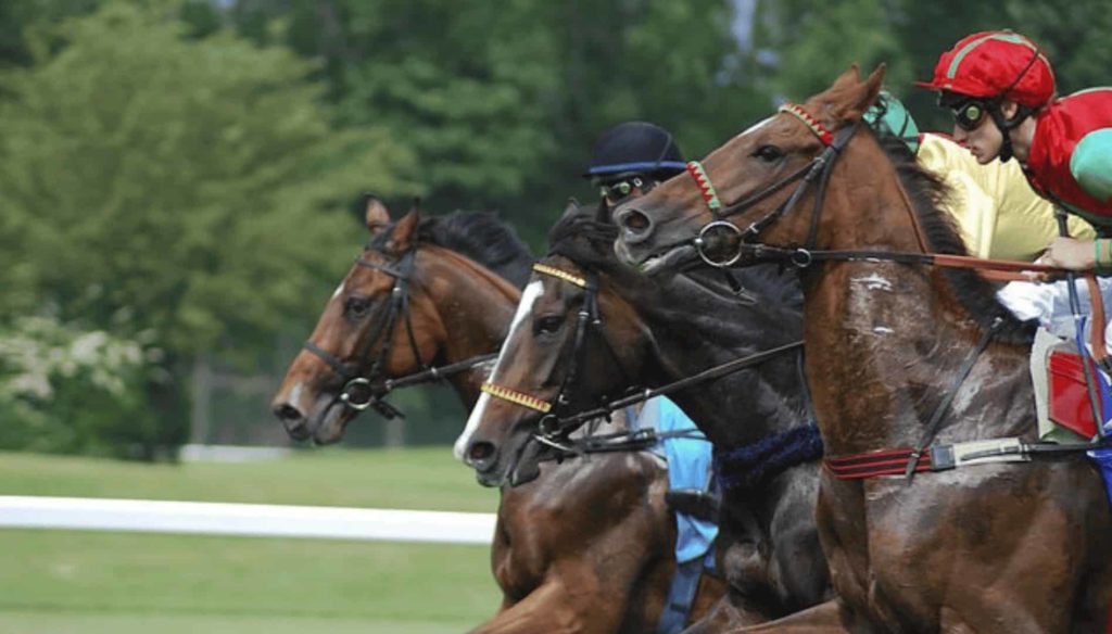 Horse Racing