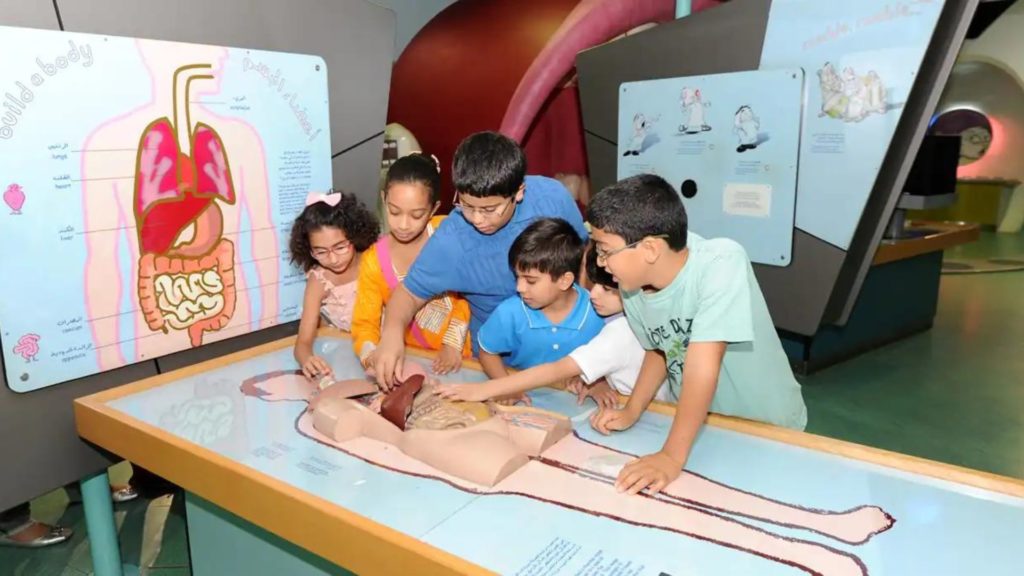 Learn about the Human Body