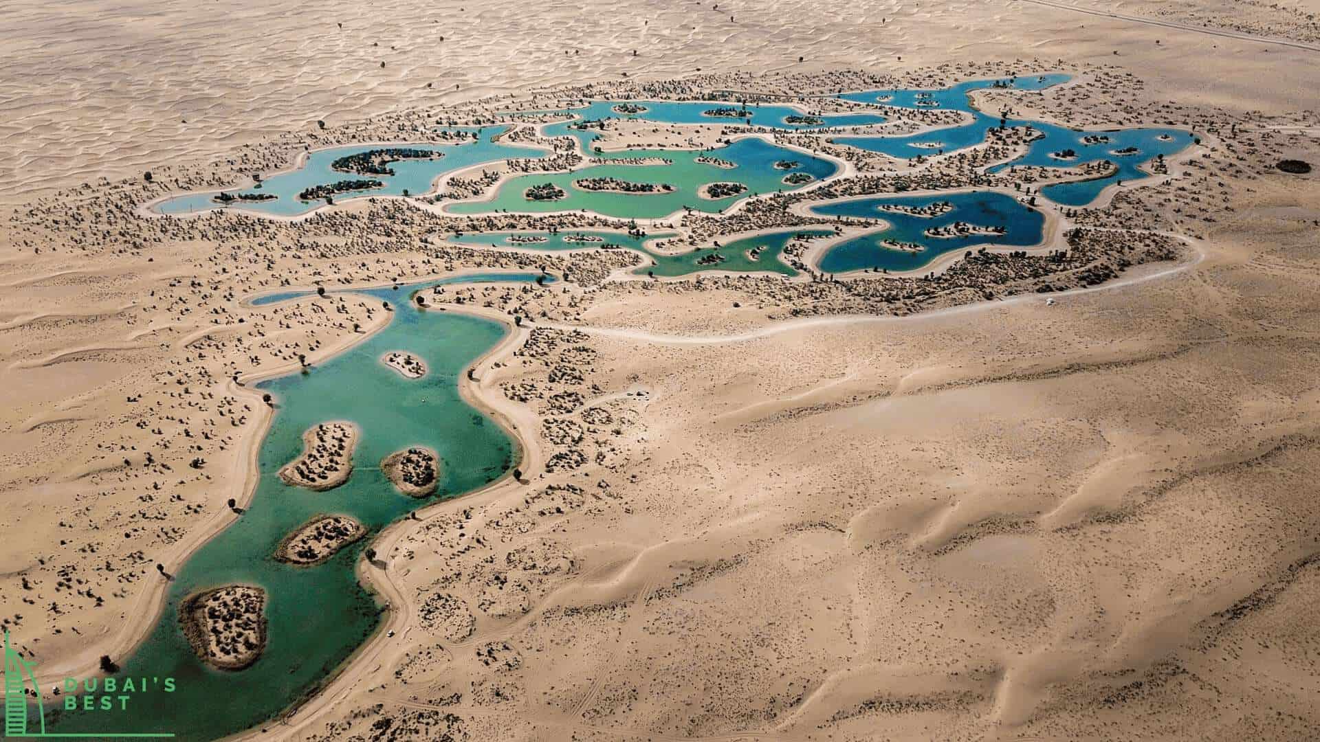 The Al Qudra Lakes A Guide to Dubai’s Nature Reserve