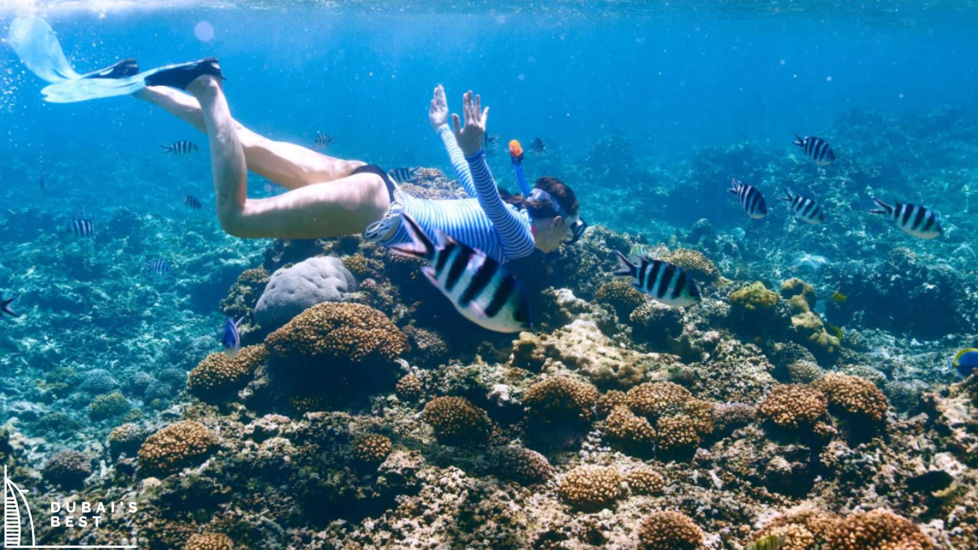 The Best Spots for Snorkeling in Dubai