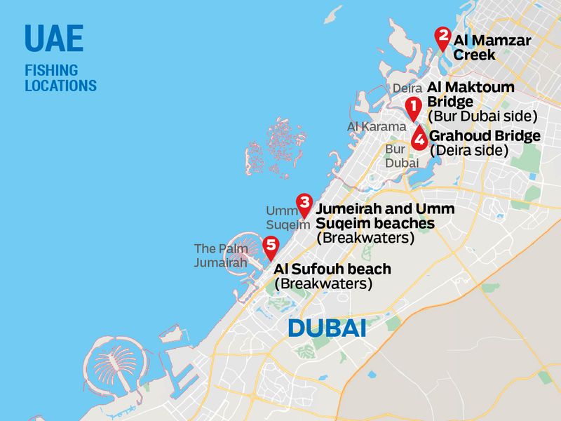 The Best Spots in Dubai for Fishing