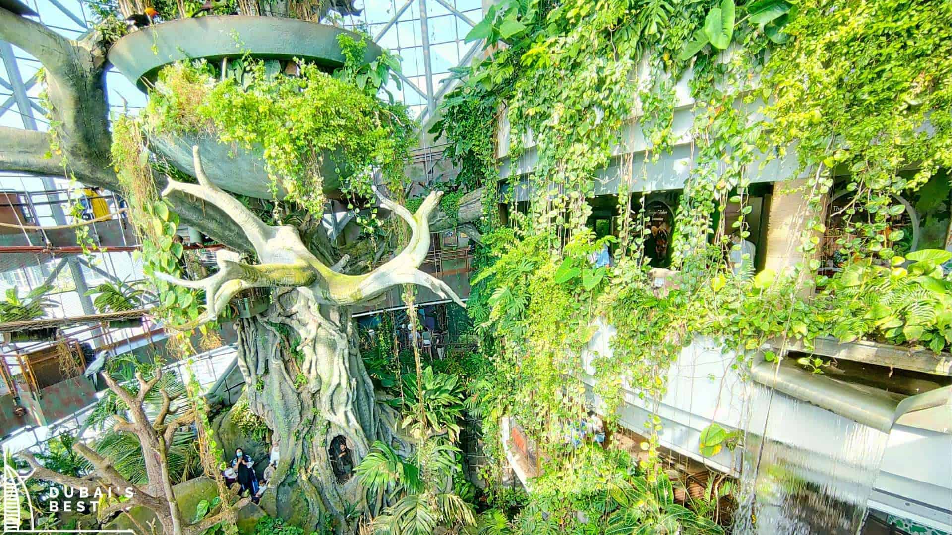 The Green Planet Dubai An Eco-Friendly Paradise in the Desert