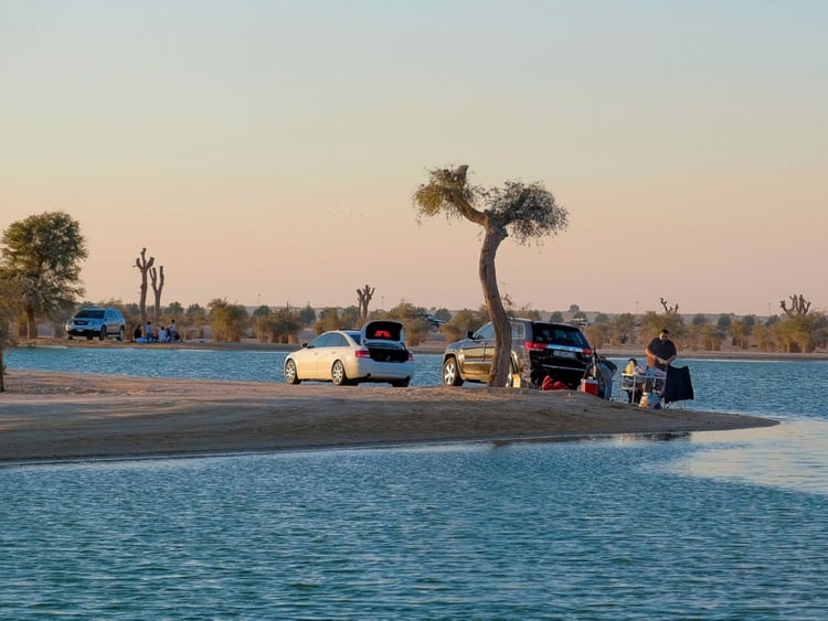 The Last Lake of Al Qudra