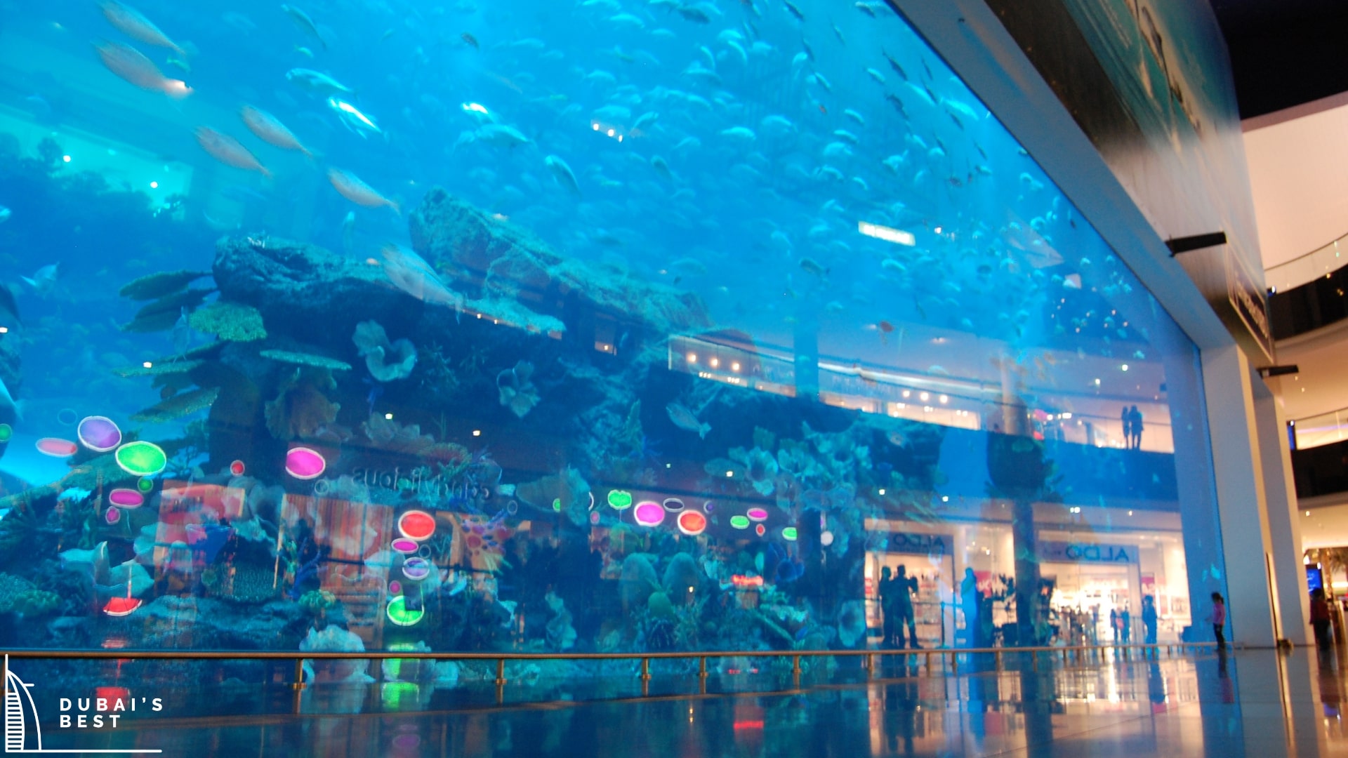 Underwater Zoo Discover the Magic of the Dubai Aquarium