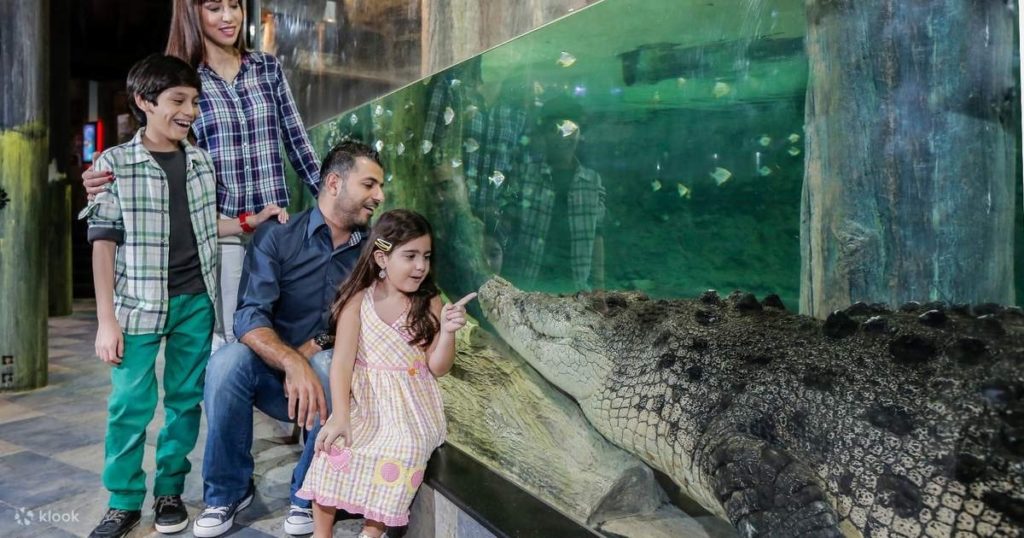Visit the Underwater Zoo