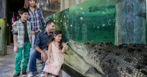 Visit the Underwater Zoo