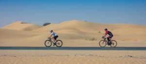 Visit the nearby Al Qudra Cycle Track