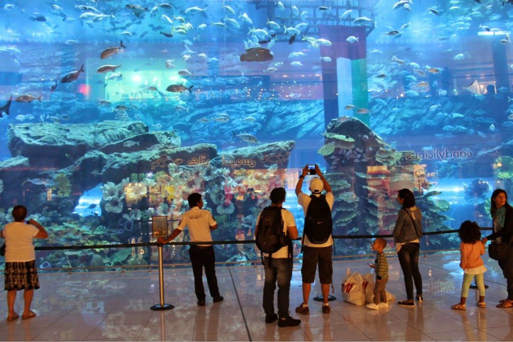 What Is Dubai Aquarium