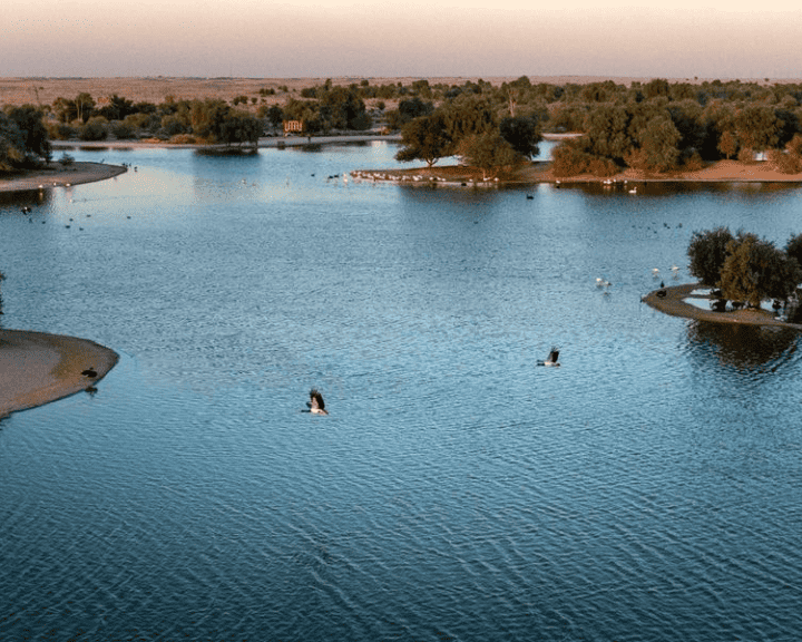 What are the Al Qudra Lakes in Dubai