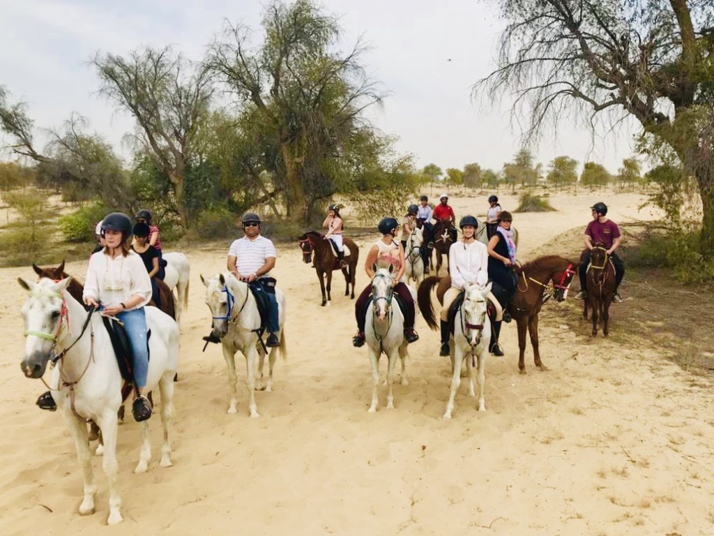 Ride a Horse