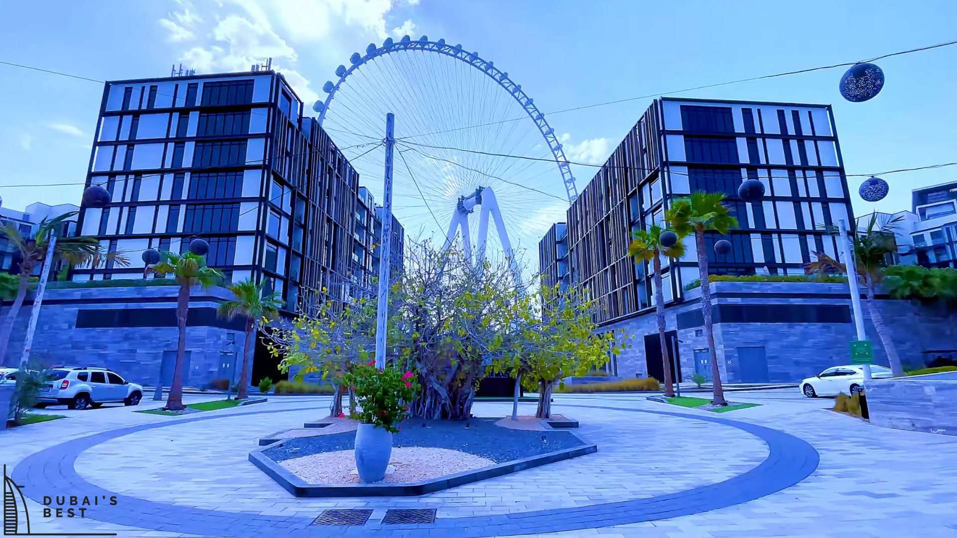 Sun, Sea, and Style A Guide to Cove Beach Dubai