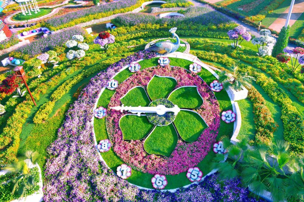 Tell the Time at the Floral Clock