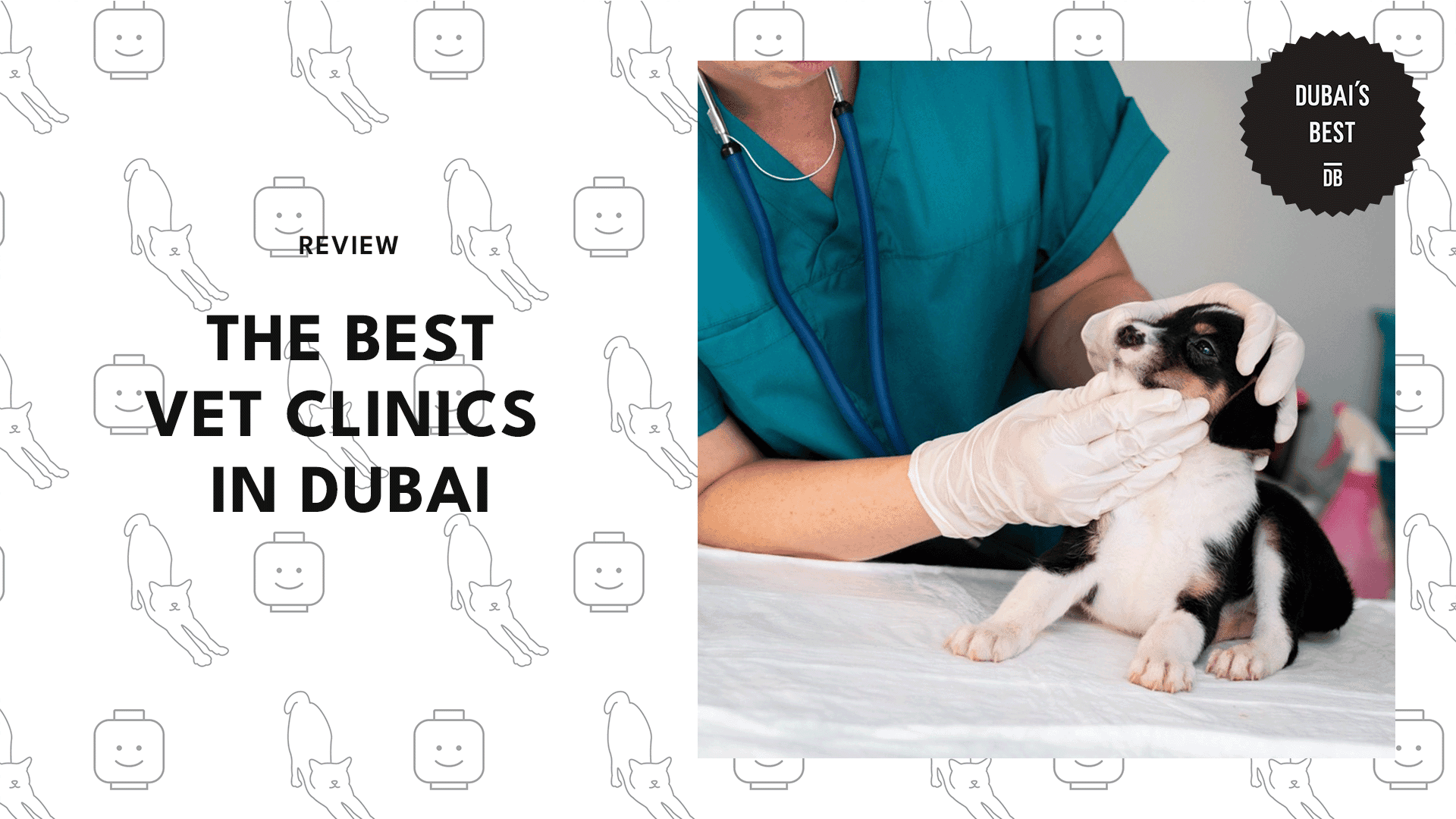 vet-clinics-in-dubai