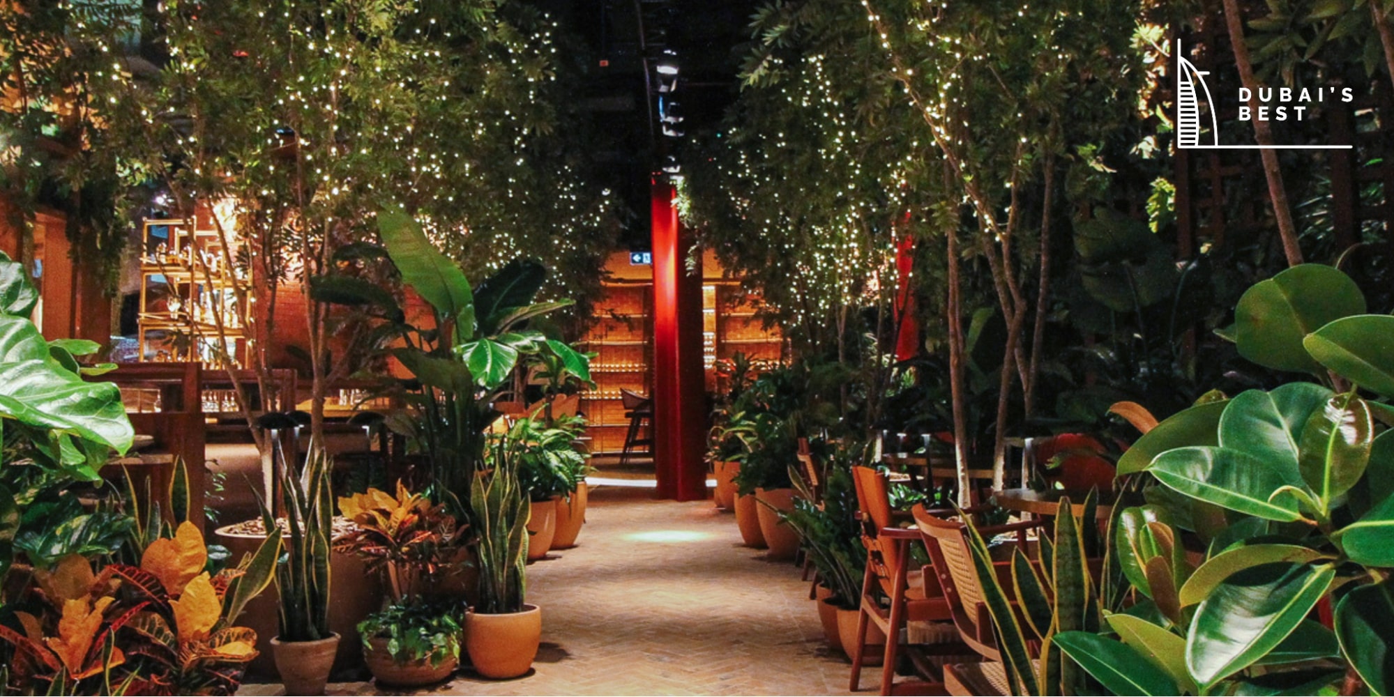 Best Beautiful Restaurants in Dubai
