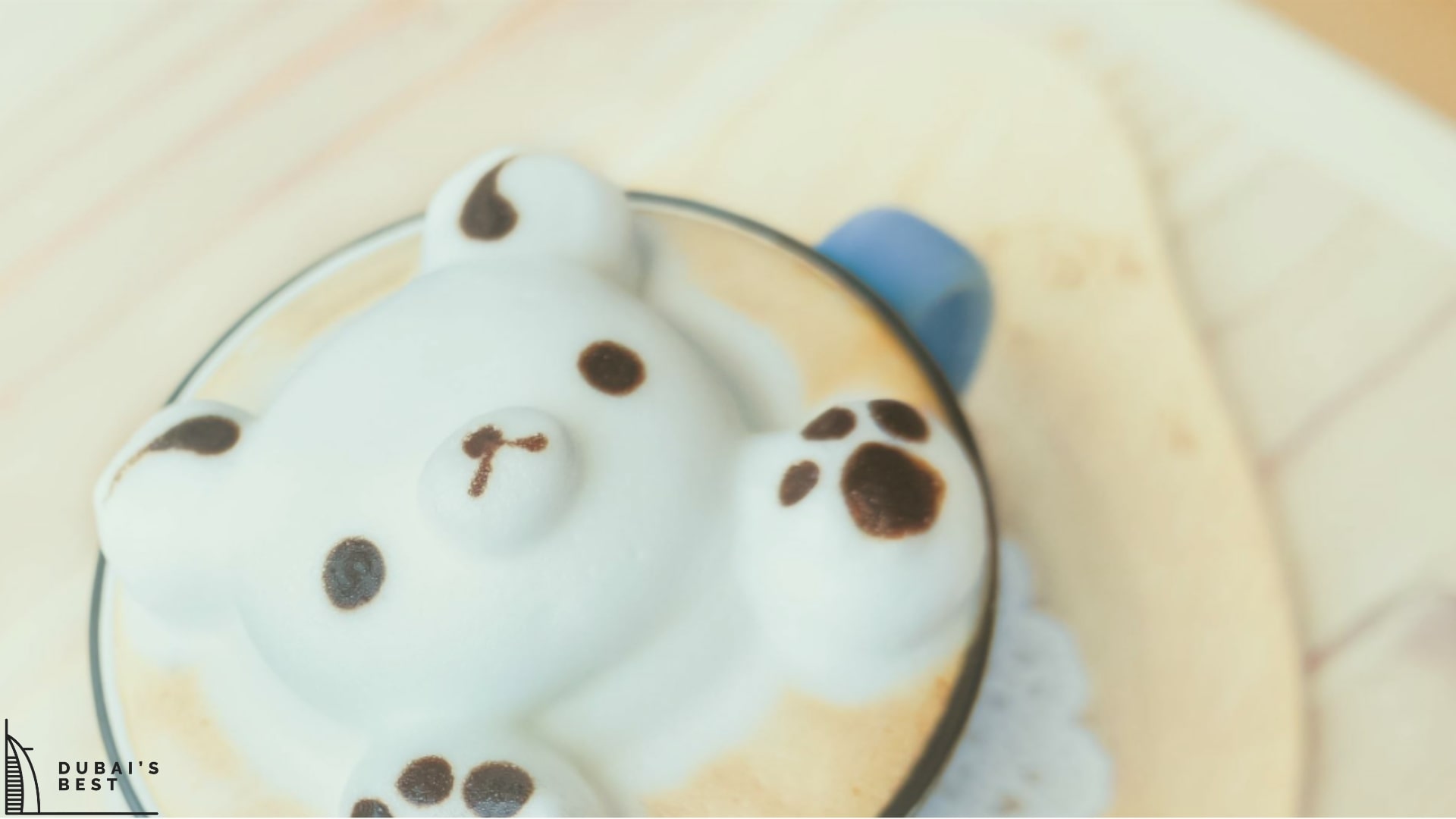 Best Cat Cafes in Dubai
