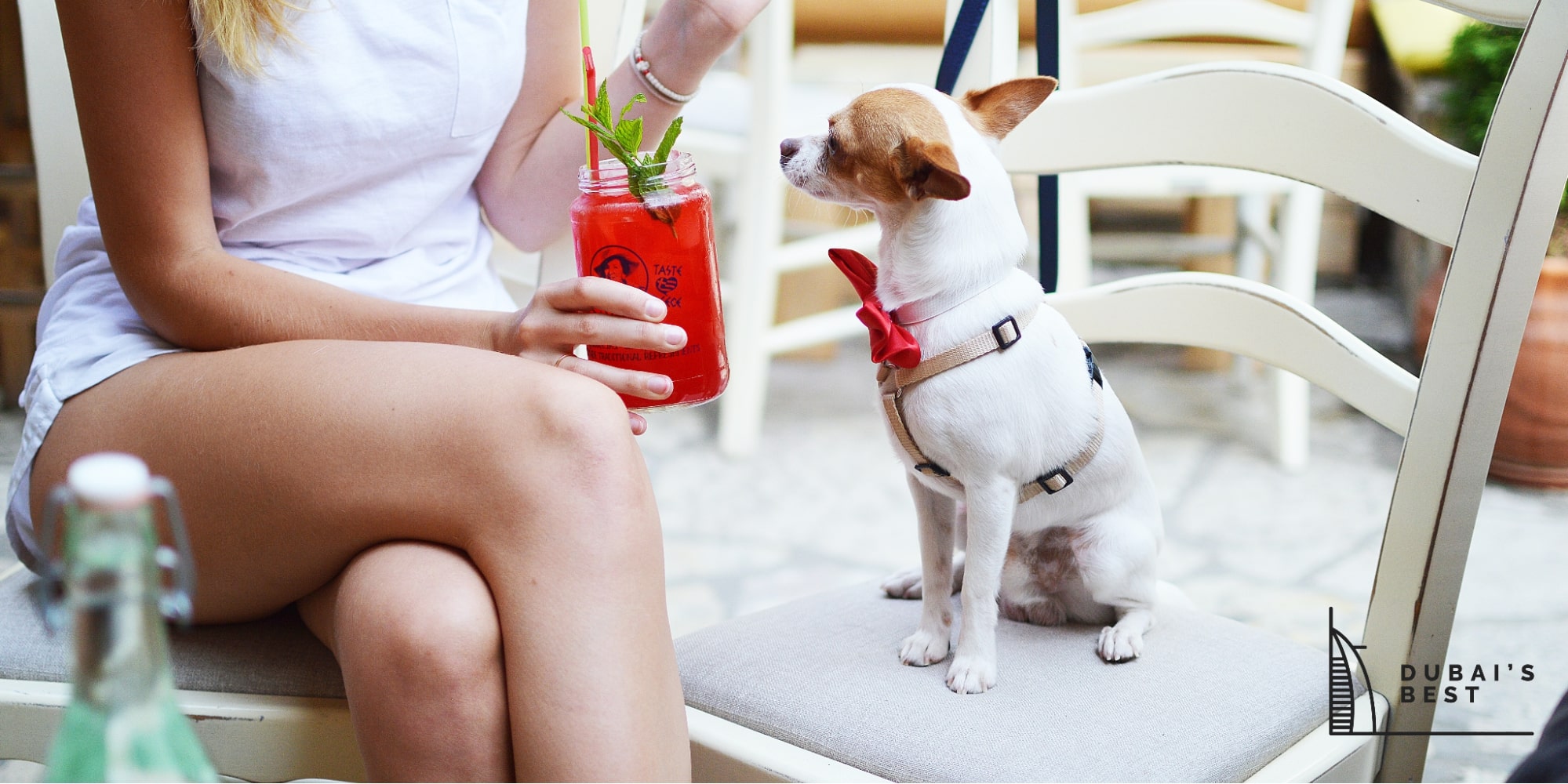 Best Dog Cafes in Dubai