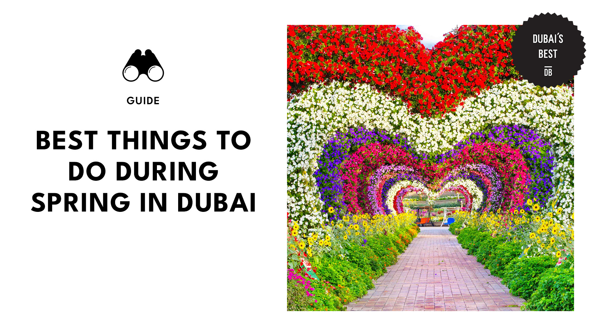 best-things-to-do-during-spring-dubai