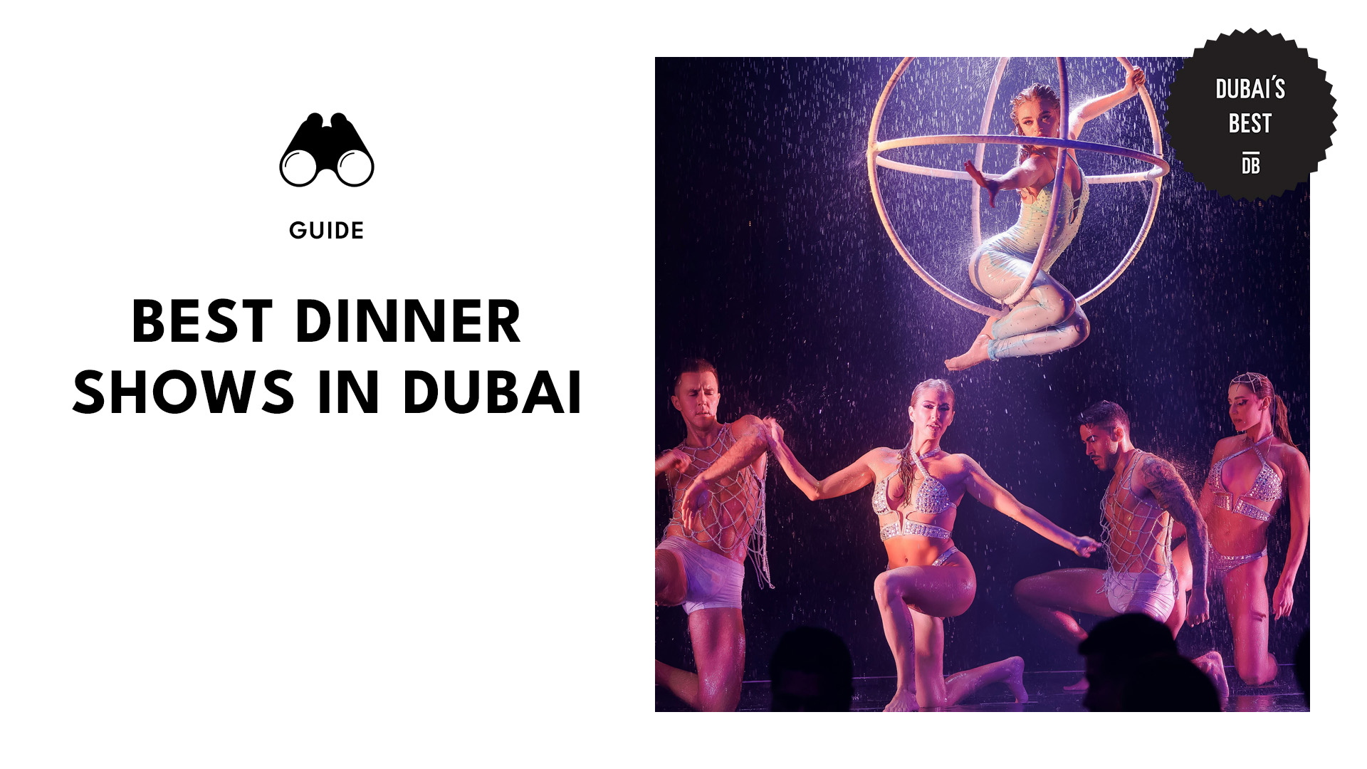 best-dinner-shows-dubai