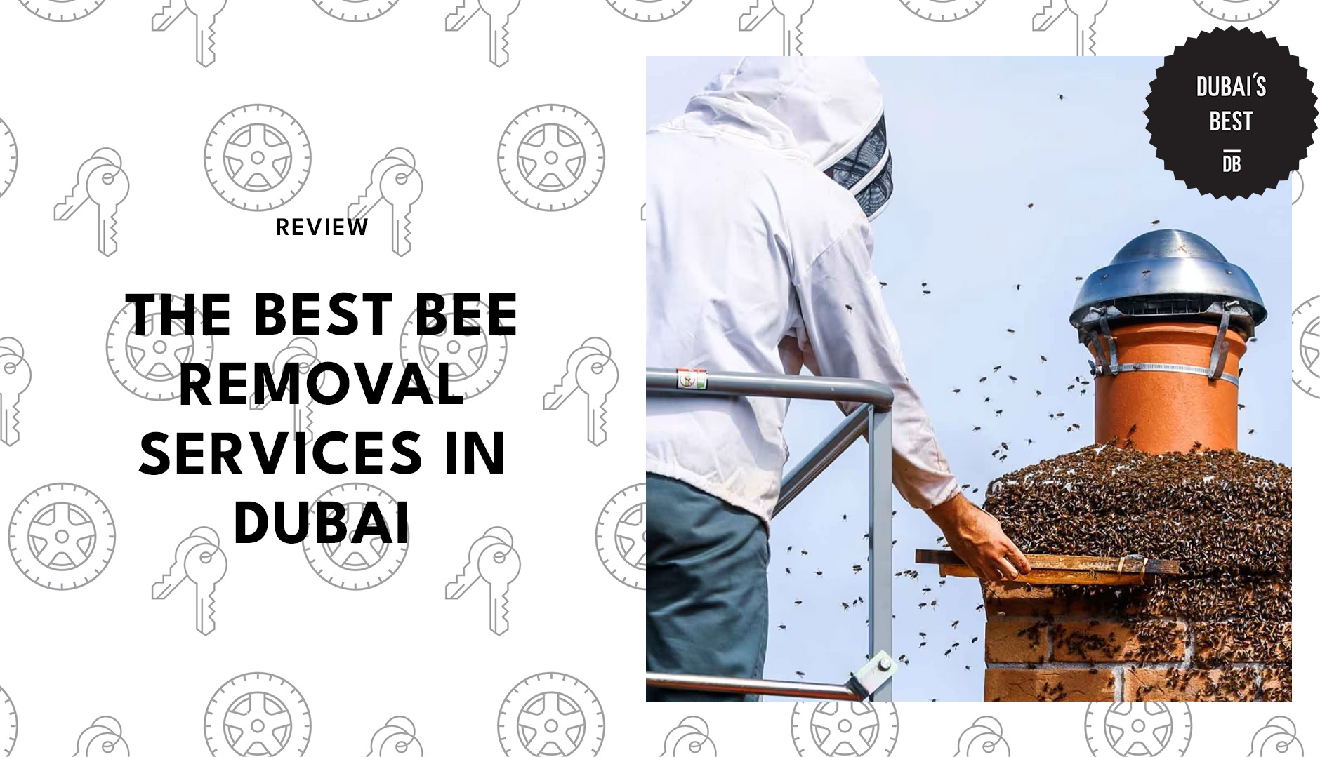 best-bee-removal-dubai