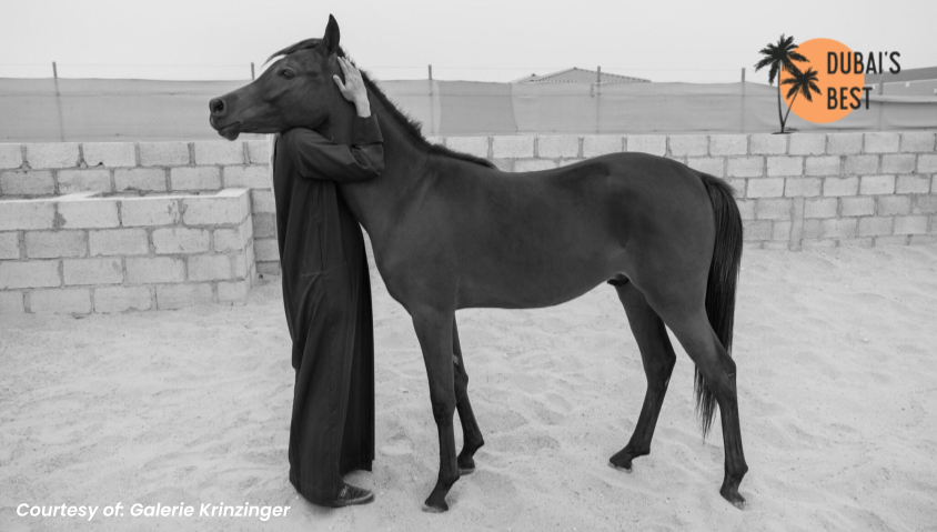 farah-al-qasimi-follow-toy-world