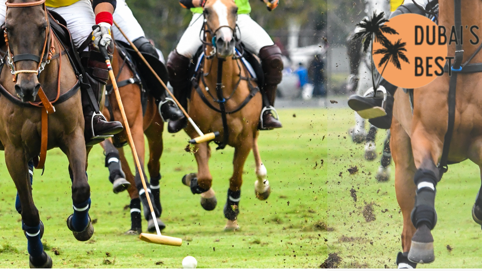 silver-cup-2025-al-habtoor-polo-club-unites
