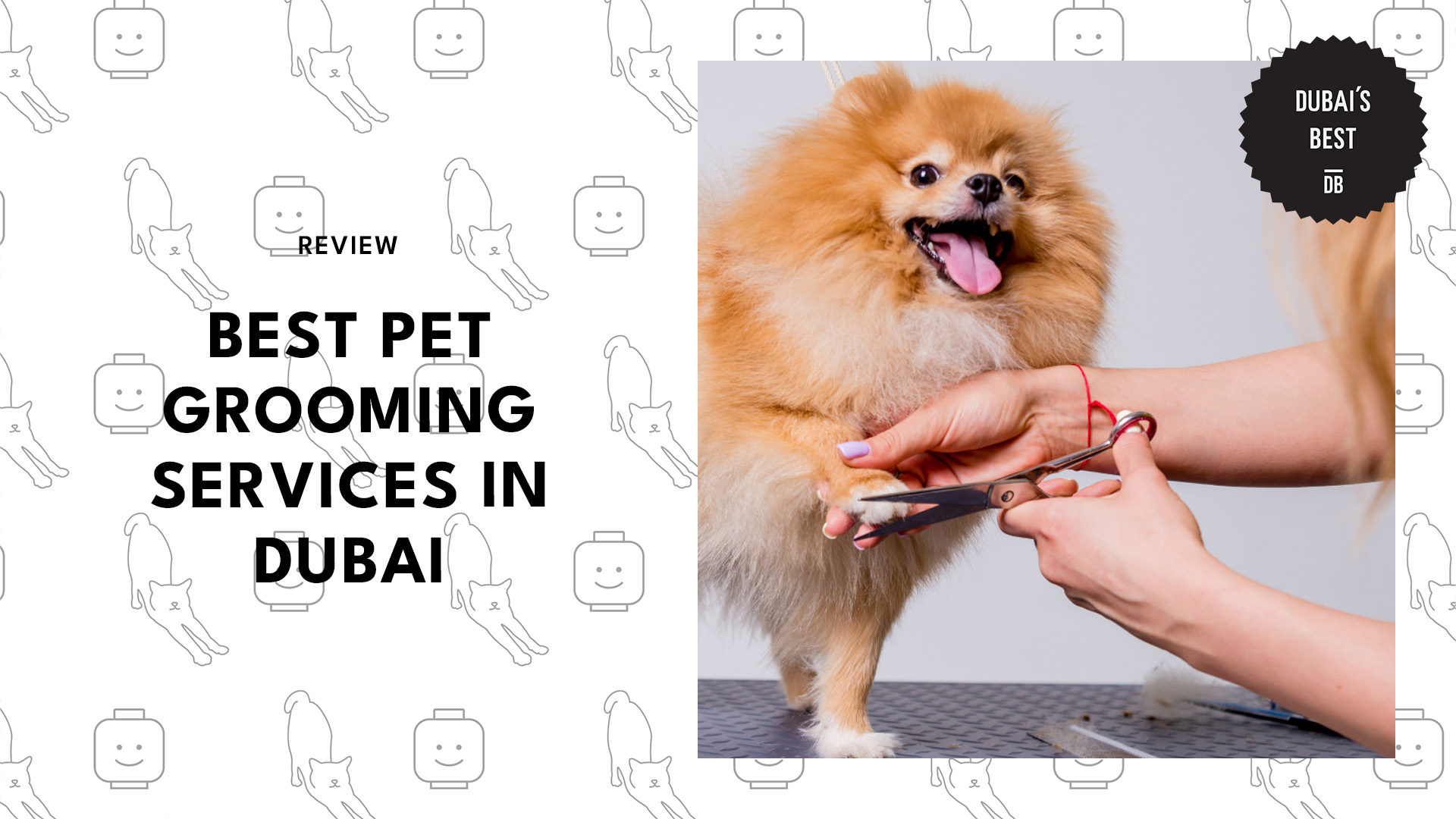 best-pet-grooming-dubai-banner