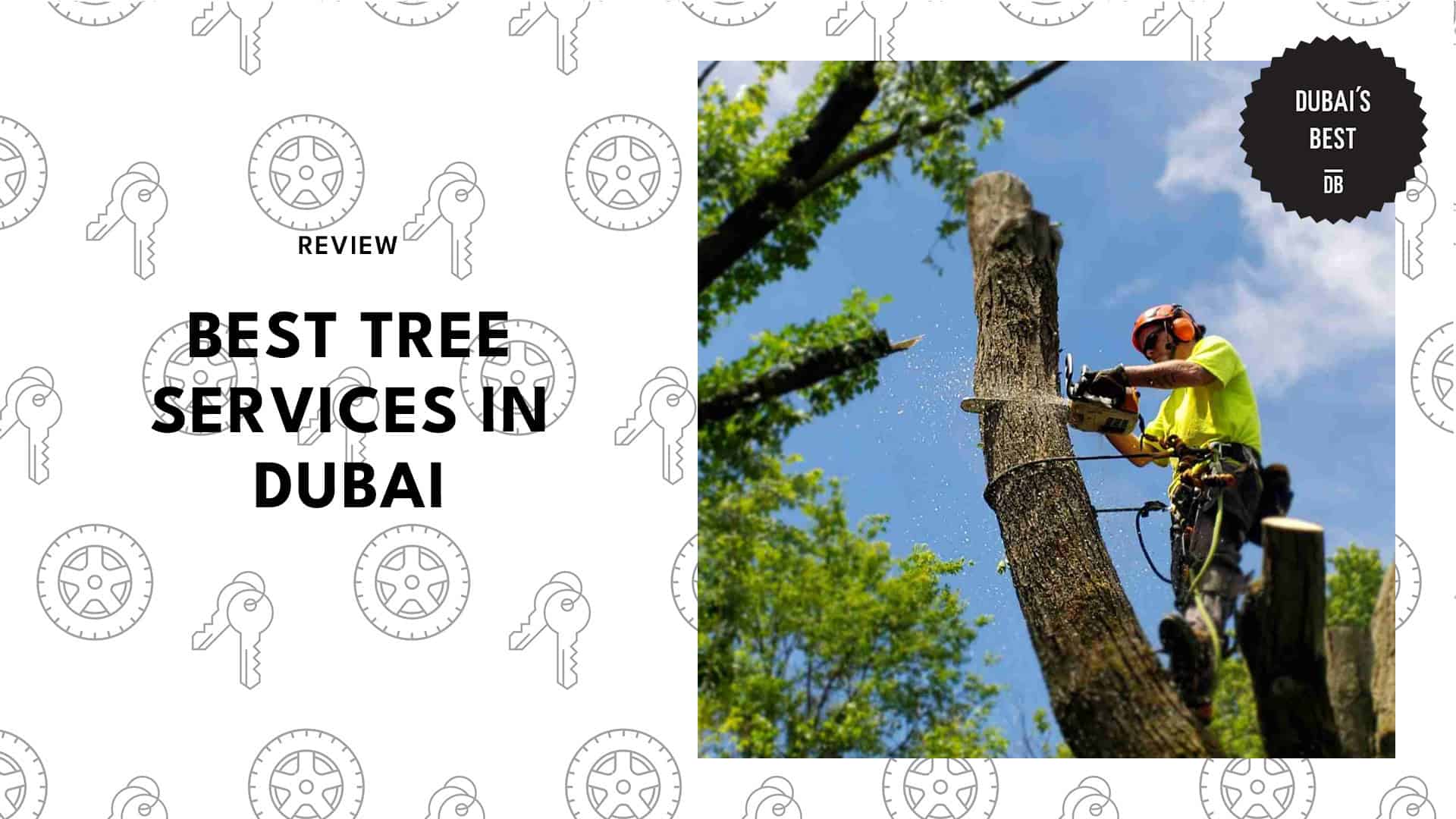 best-tree-services-dubai-banner