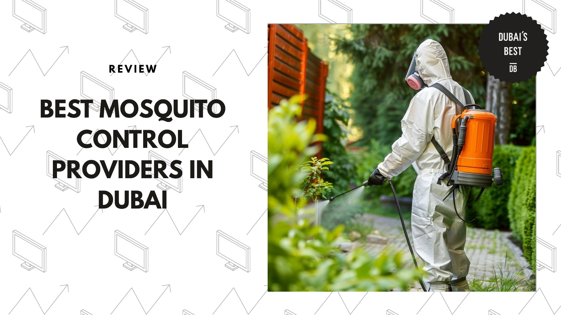 best-mosquito-control-dubai-banner